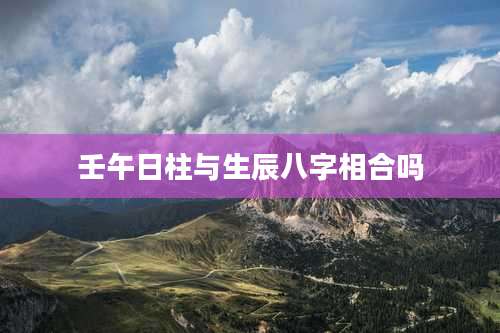 壬午日柱与生辰八字相合吗