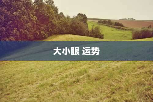 大小眼 运势