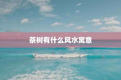 茶树有什么风水寓意