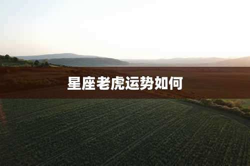 星座老虎运势如何