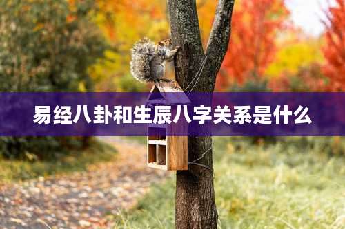 易经八卦和生辰八字关系是什么