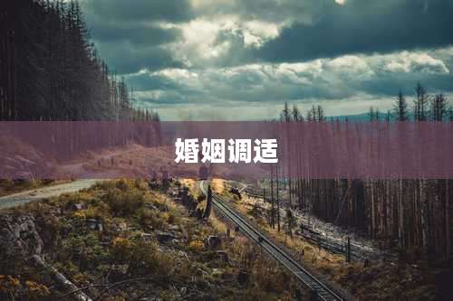 婚姻调适