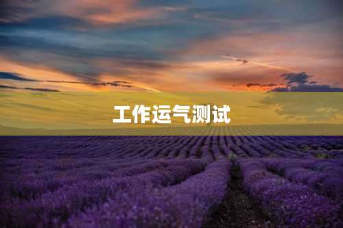 工作运气测试