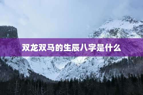 双龙双马的生辰八字是什么