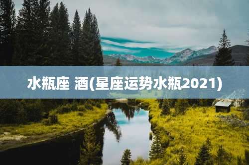 水瓶座 酒(星座运势水瓶2021)