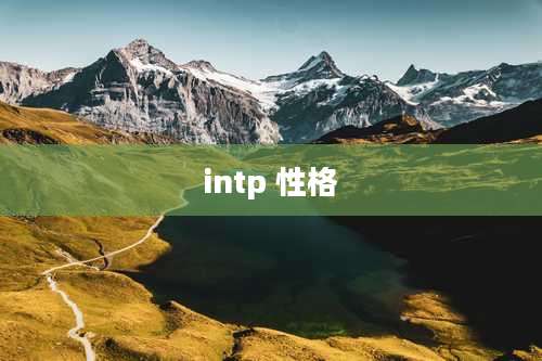 intp 性格