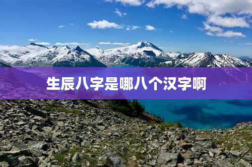 生辰八字是哪八个汉字啊