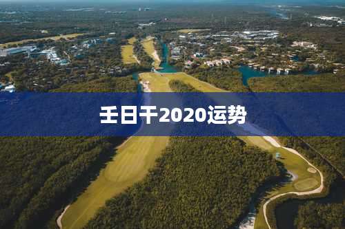 壬日干2020运势