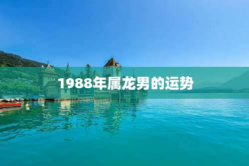 1988年属龙男的运势