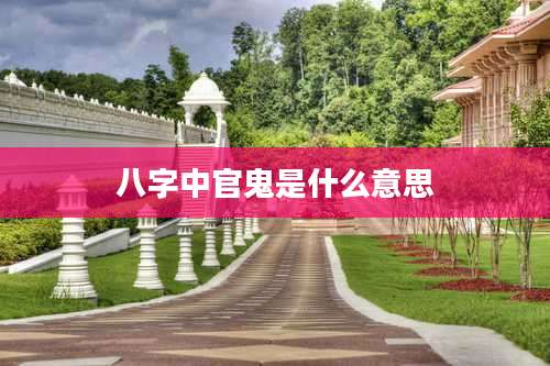 八字中官鬼是什么意思