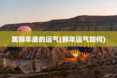 属猴年底的运气(猴年运气如何)