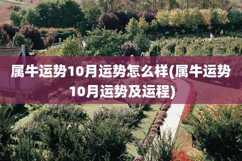 属牛运势10月运势怎么样(属牛运势10月运势及运程)