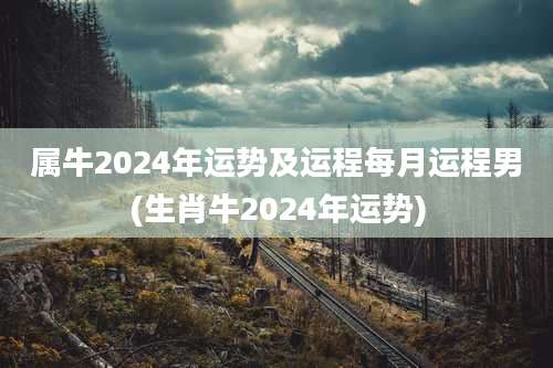 属牛2024年运势及运程每月运程男(生肖牛2024年运势)
