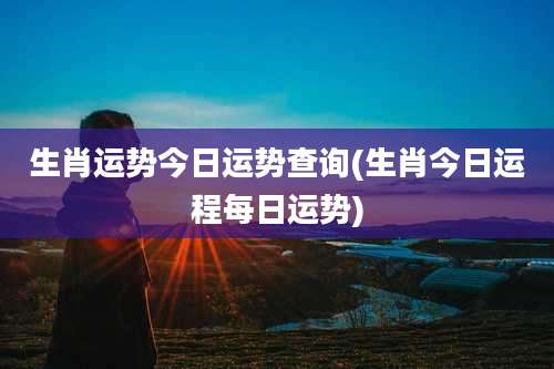 生肖运势今日运势查询(生肖今日运程每日运势)