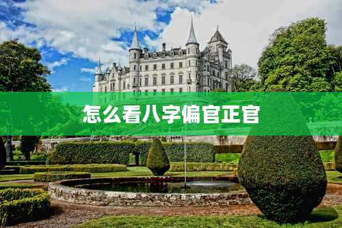 怎么看八字偏官正官