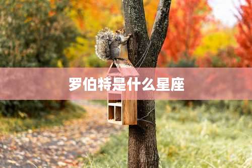 罗伯特是什么星座