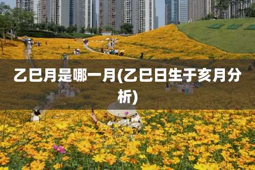 乙巳月是哪一月(乙巳日生于亥月分析)