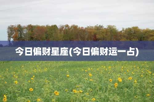 今日偏财星座(今日偏财运一占)