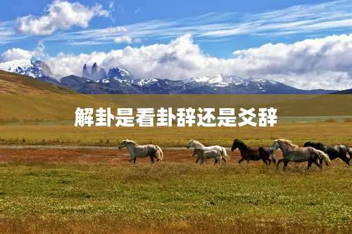 解卦是看卦辞还是爻辞