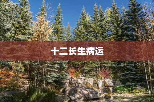 十二长生病运