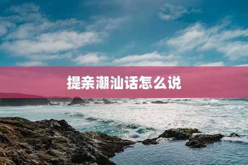 提亲潮汕话怎么说