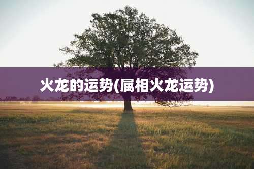 火龙的运势(属相火龙运势)