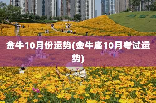 金牛10月份运势(金牛座10月考试运势)
