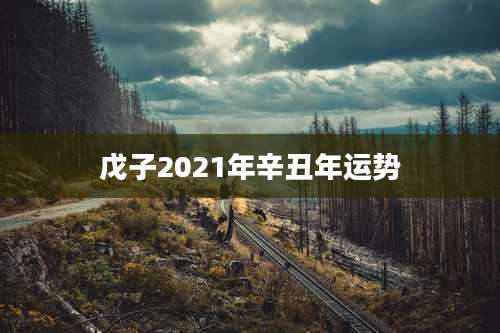 戊子2021年辛丑年运势