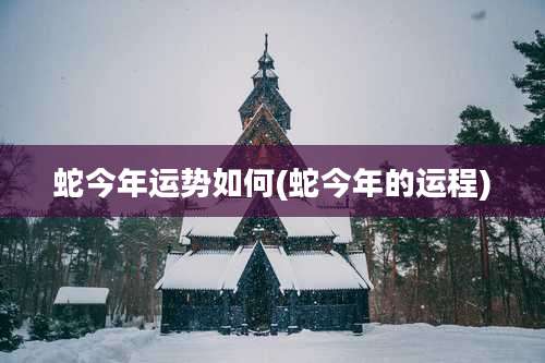 蛇今年运势如何(蛇今年的运程)