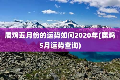 属鸡五月份的运势如何2020年(属鸡5月运势查询)