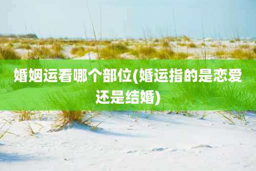 婚姻运看哪个部位(婚运指的是恋爱还是结婚)
