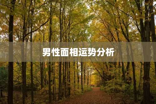 男性面相运势分析