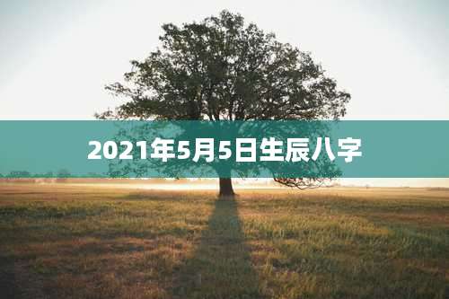 2021年5月5日生辰八字