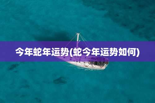 今年蛇年运势(蛇今年运势如何)