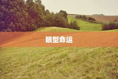 眼型命运