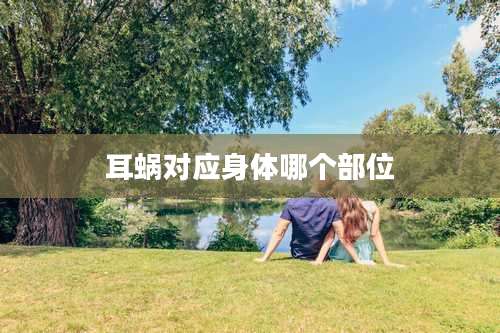 耳蜗对应身体哪个部位