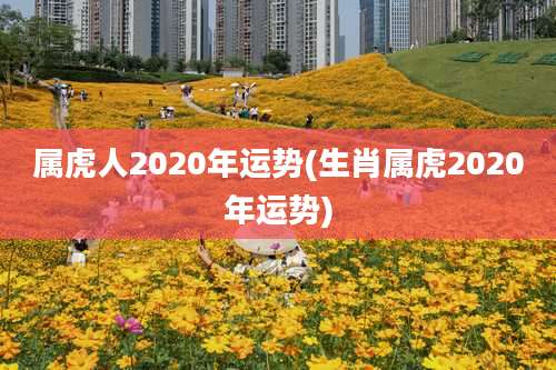 属虎人2020年运势(生肖属虎2020年运势)