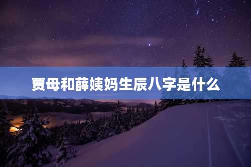 贾母和薛姨妈生辰八字是什么