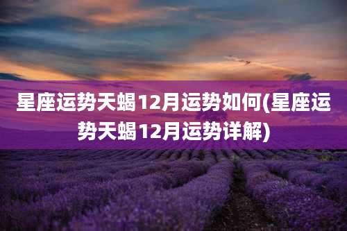 星座运势天蝎12月运势如何(星座运势天蝎12月运势详解)