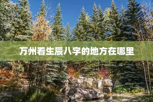 万州看生辰八字的地方在哪里