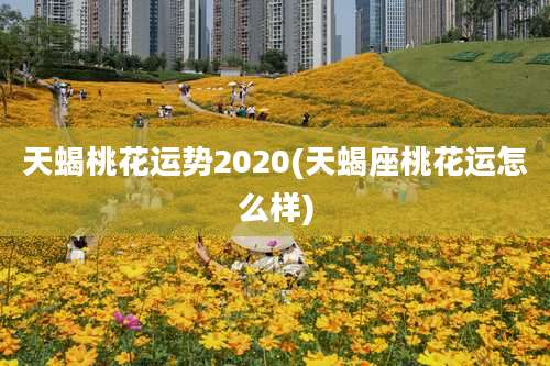 天蝎桃花运势2020(天蝎座桃花运怎么样)