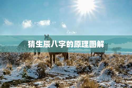 猜生辰八字的原理图解