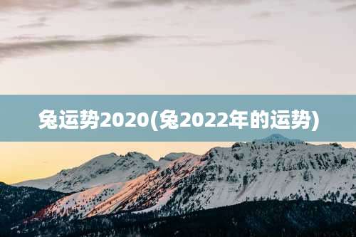 兔运势2020(兔2022年的运势)