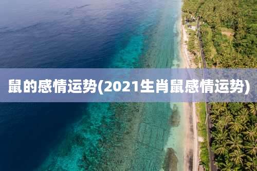 鼠的感情运势(2021生肖鼠感情运势)