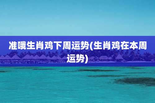 准哦生肖鸡下周运势(生肖鸡在本周运势)