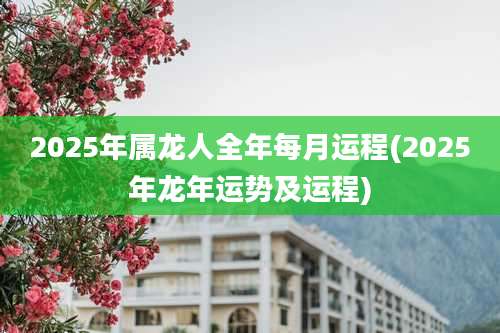 2025年属龙人全年每月运程(2025年龙年运势及运程)