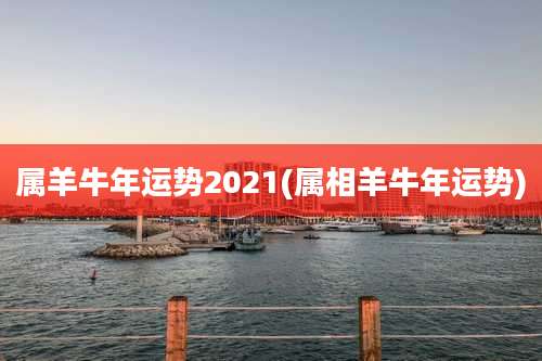 属羊牛年运势2021(属相羊牛年运势)