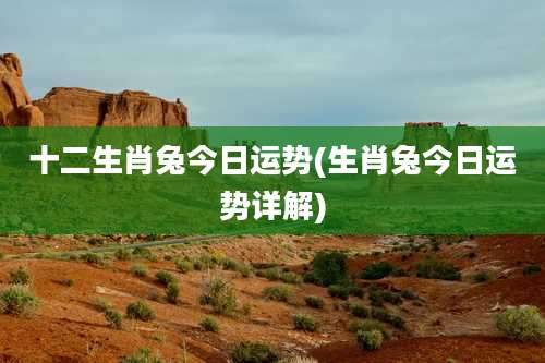 十二生肖兔今日运势(生肖兔今日运势详解)