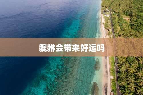 貔貅会带来好运吗