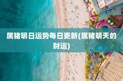 属猪明日运势每日更新(属猪明天的财运)